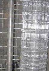 Welded Wire Mesh  ؼ֣