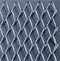 Chain Link  Fence  ؼ֣